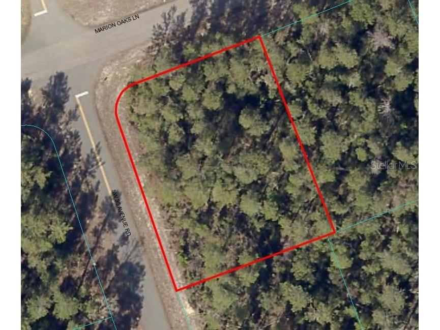 Marion Oaks Ln Ocala FL 34473 OM664066 image1