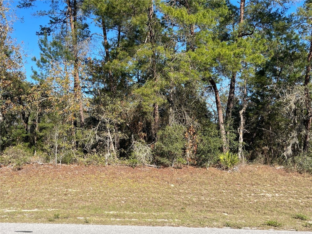 Marion Oaks Manor Ocala FL 34473 OM632711 image1