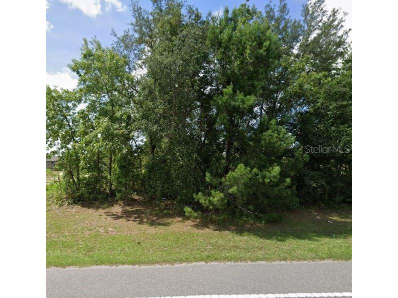 Marion Oaks Manor Ocala FL 34473 T3468971 image1