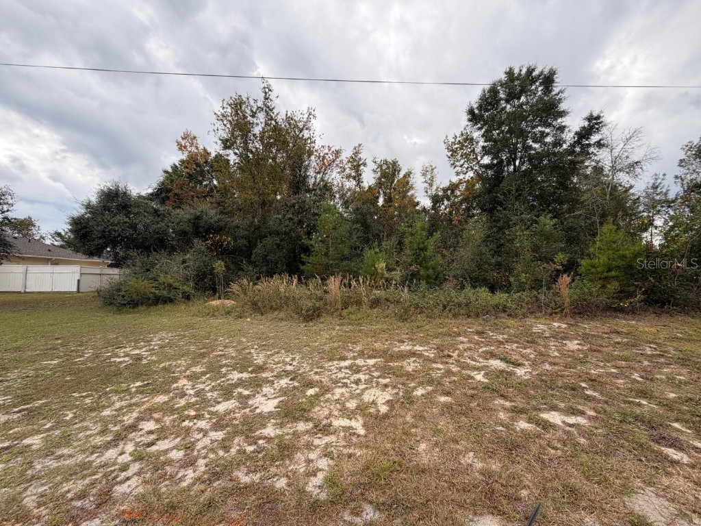 Marion Oaks Manor Ocala FL 34473 O6359556 image1