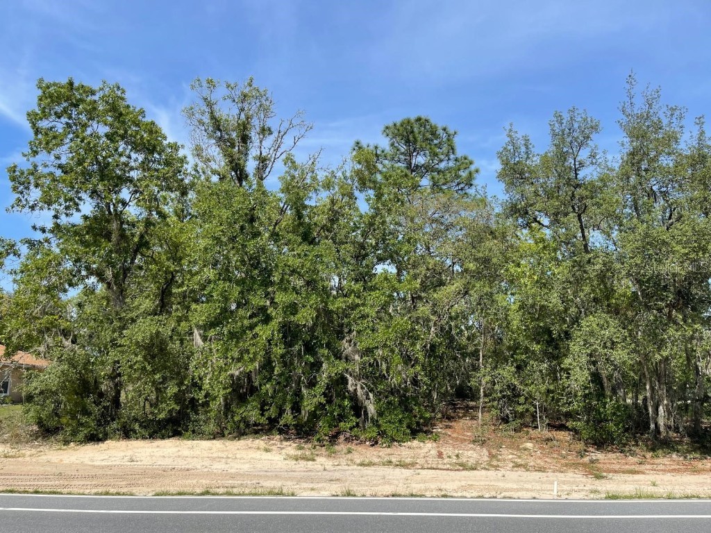 Marion Oaks Manor Ocala FL 34473 S5127052 image1