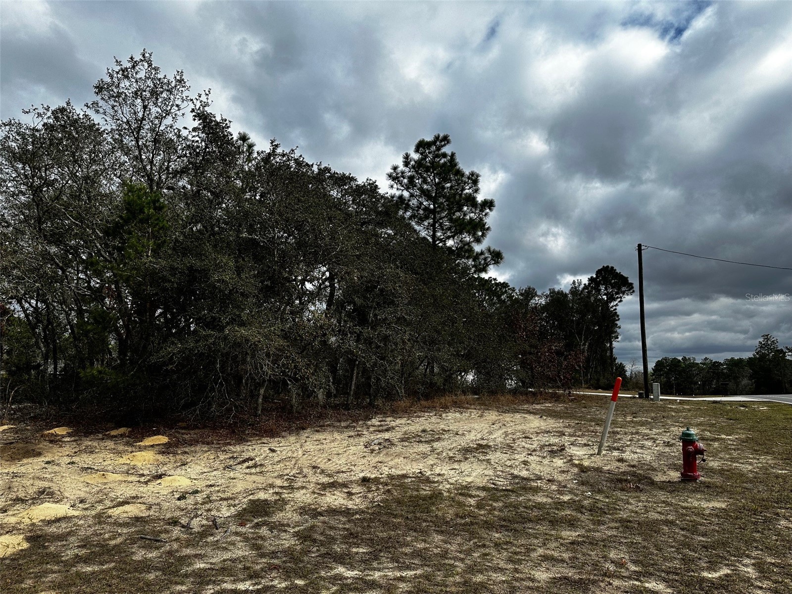 Marion Oaks Mnr Ocala FL 34474 TB8496161 image2