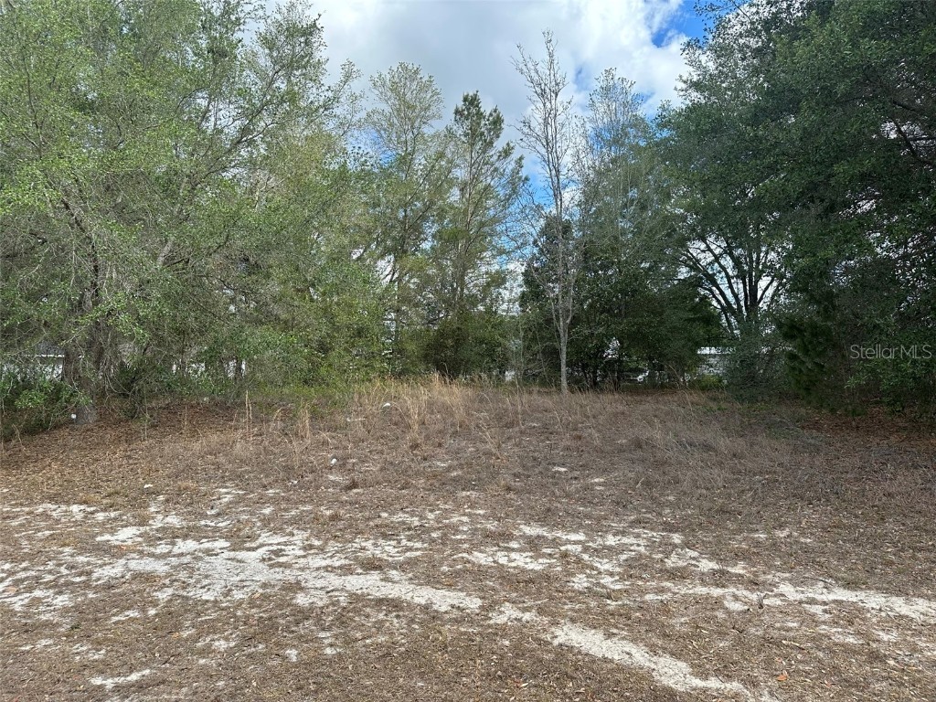 Marion Oaks Ocala FL 34473 T3428866 image1