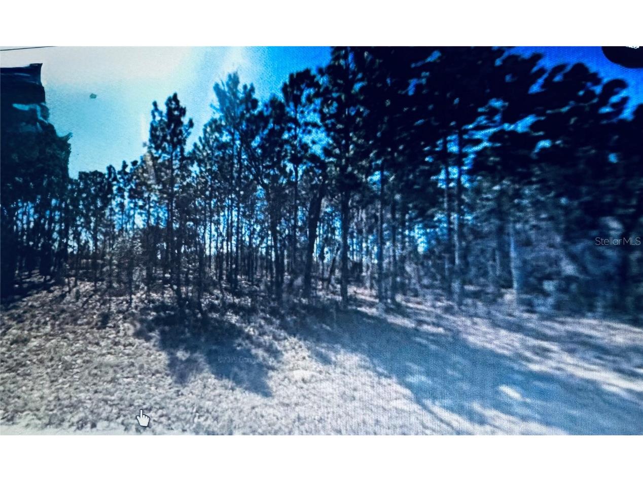 Marion Oaks Ocala FL 34473 O6310956 image1