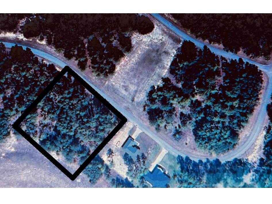 Marion Oaks Ocala FL 34473 O6310956 image2