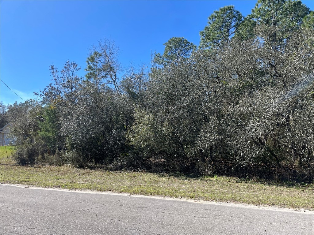 Marion Oaks Pass Ocala FL 34473 OM672895 image1