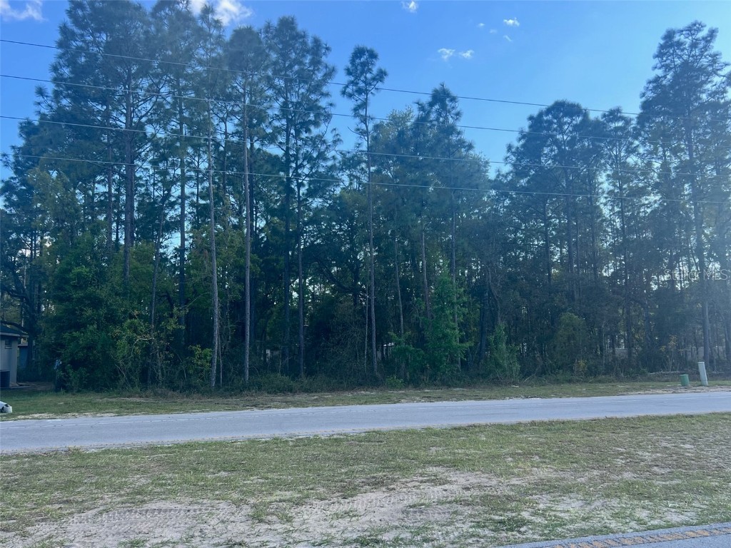 Marion Oaks Trail Ocala FL 34473 O6293151 image1