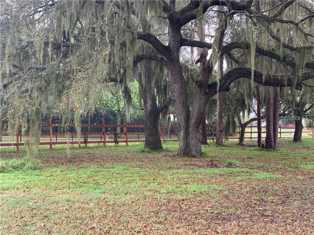 Marjorie Road Saint Cloud FL 34772 S5073976 image3