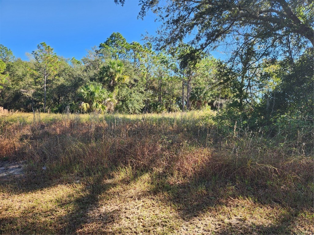 Markham Woods Road Longwood FL 32779 O6158813 image4