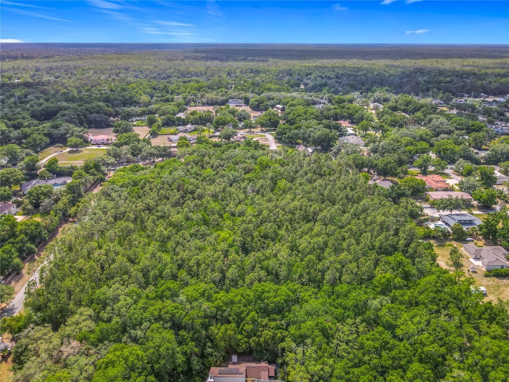 Markham Woods Road Longwood FL 32779 O6302605 image17