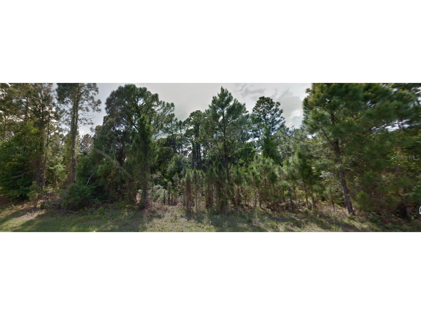 Marlberry Road North Port FL 34288 C7503641 image15