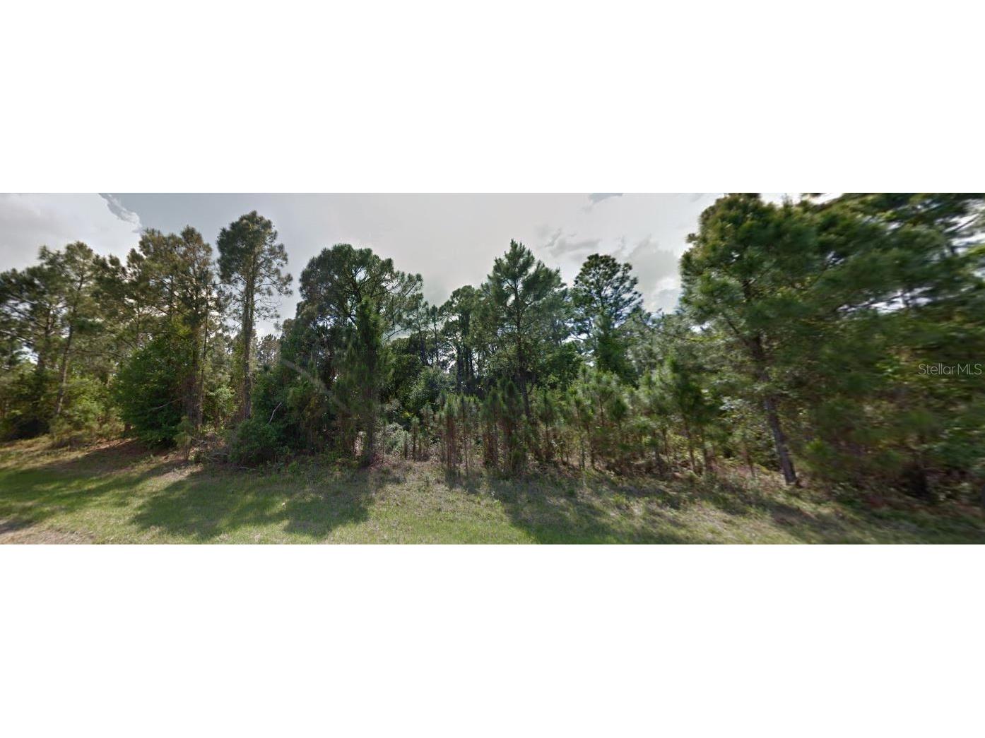 Marlberry Road North Port FL 34288 C7503641 image6