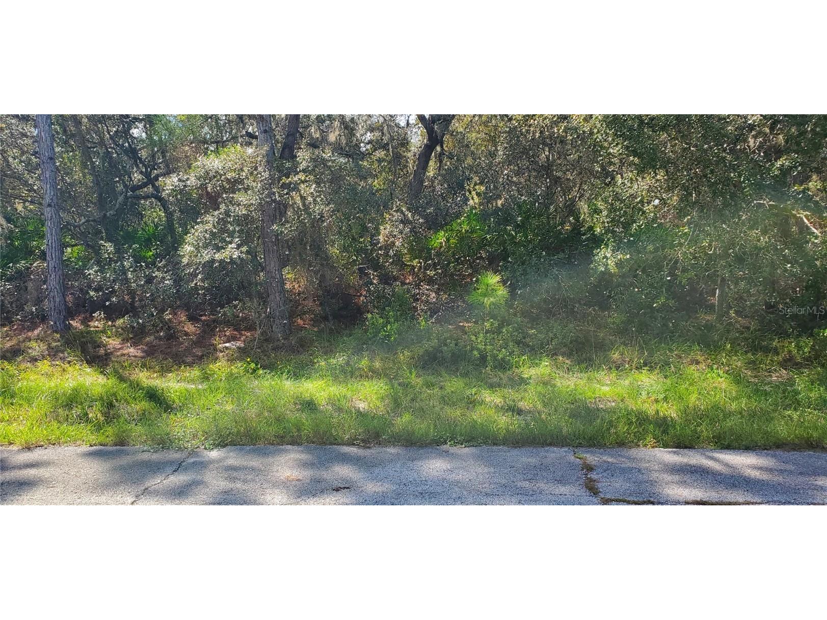 Marlin Drive Poinciana FL 34759 S5137073 image1