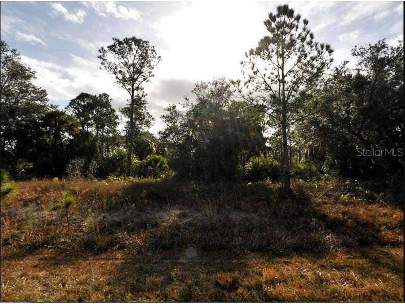 Marsden Avenue North Port FL 34288 O6188725 image2