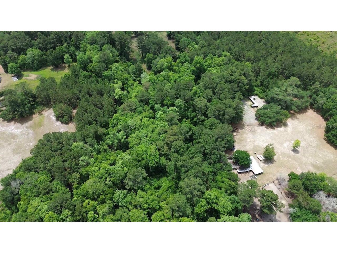 Marshall Lane Green Cove Springs FL 32043 O6404083 image5