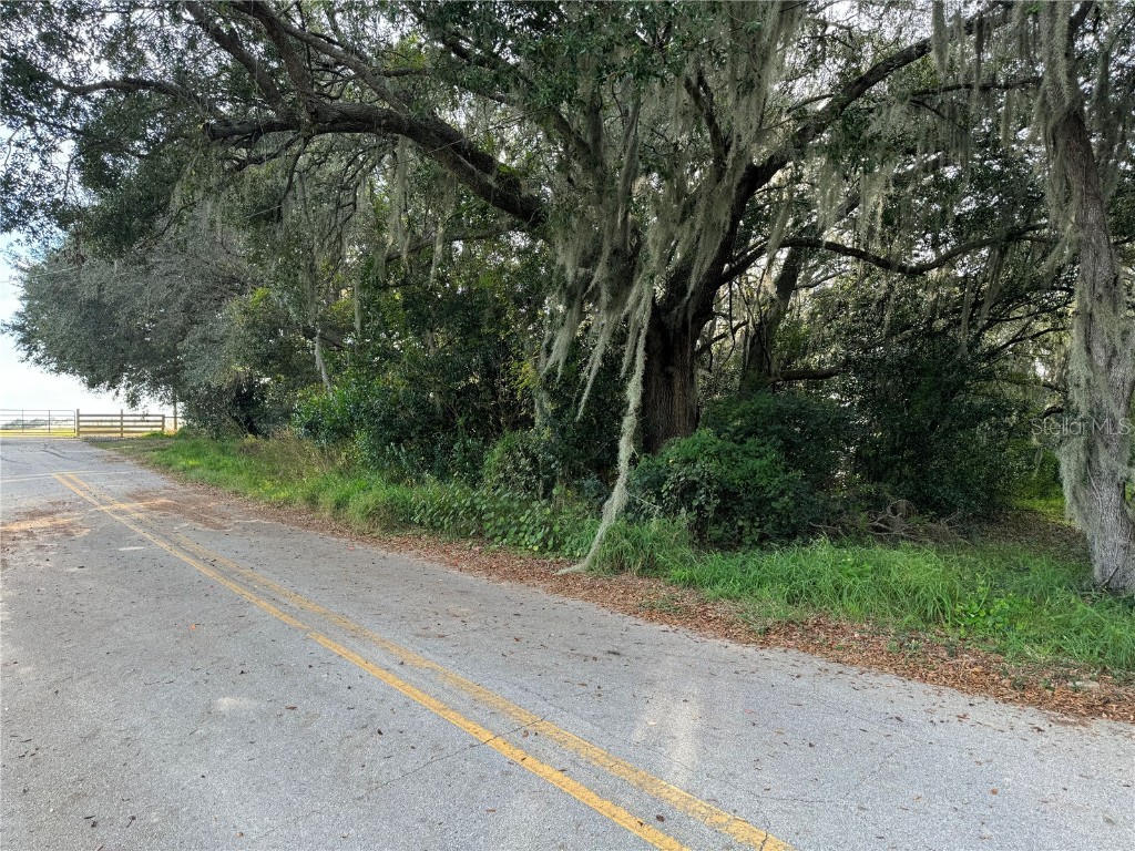 Marty Lane Bartow FL 33830 T3491413 image1