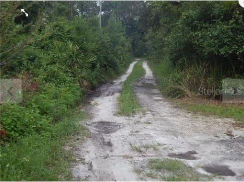 Maryland Street Paisley FL 32767 O6235688 image2