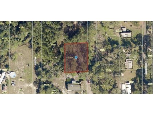 Maryland Street Paisley FL 32767 O6235688 image4