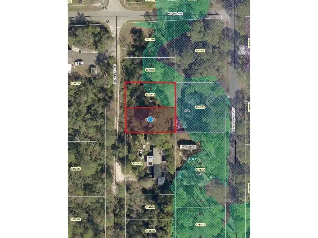 Maryland Street Paisley FL 32767 V4946046 image2