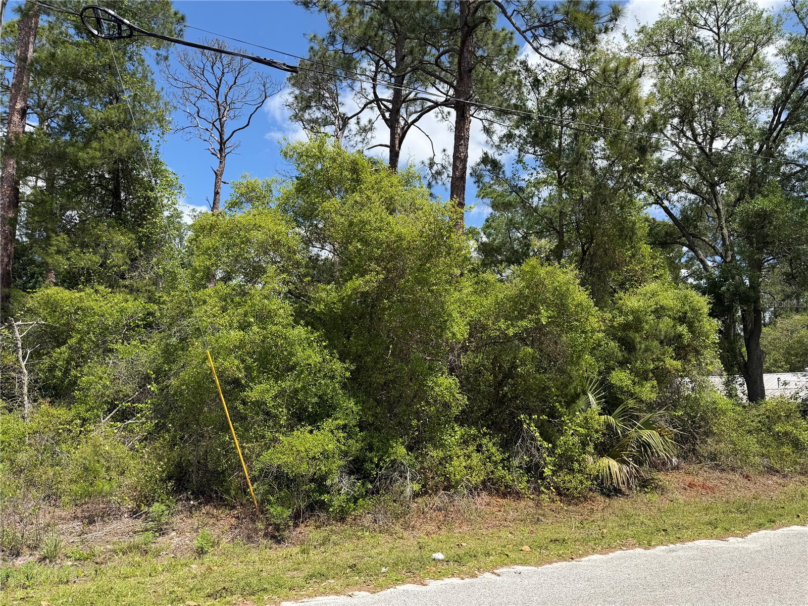 Maryland Street Paisley FL 32767 V4948439 image1