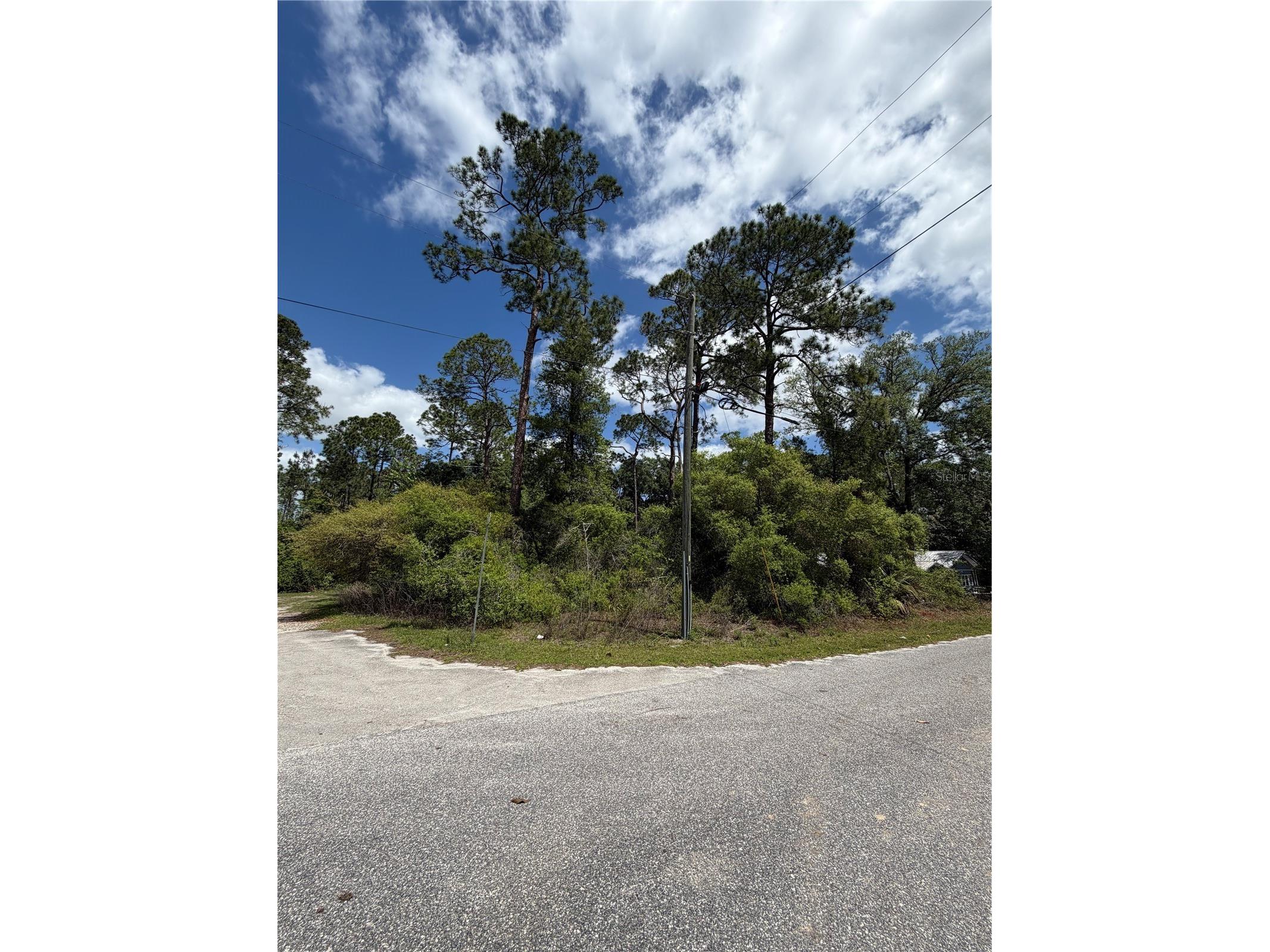 Maryland Street Paisley FL 32767 V4948439 image2