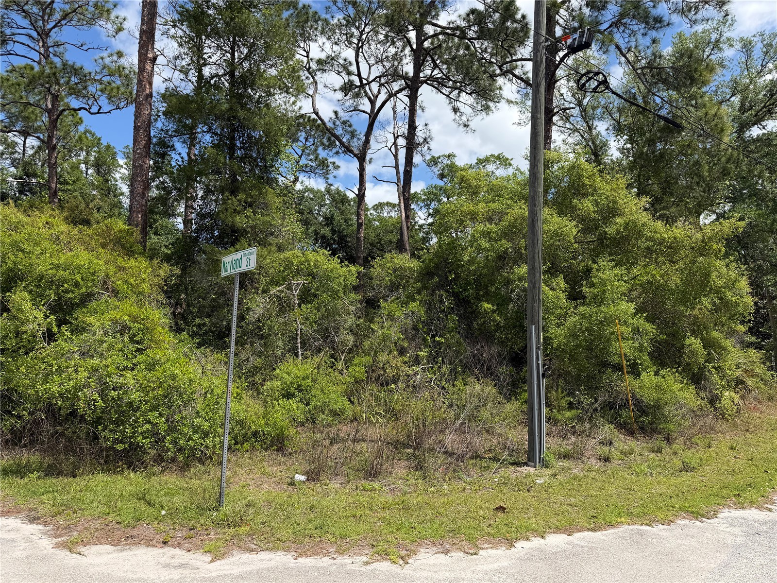 Maryland Street Paisley FL 32767 V4948439 image3
