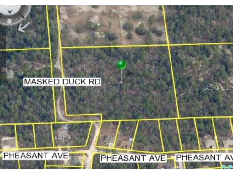 Masked Duck Road Brooksville FL 34614 TB8416627 image1