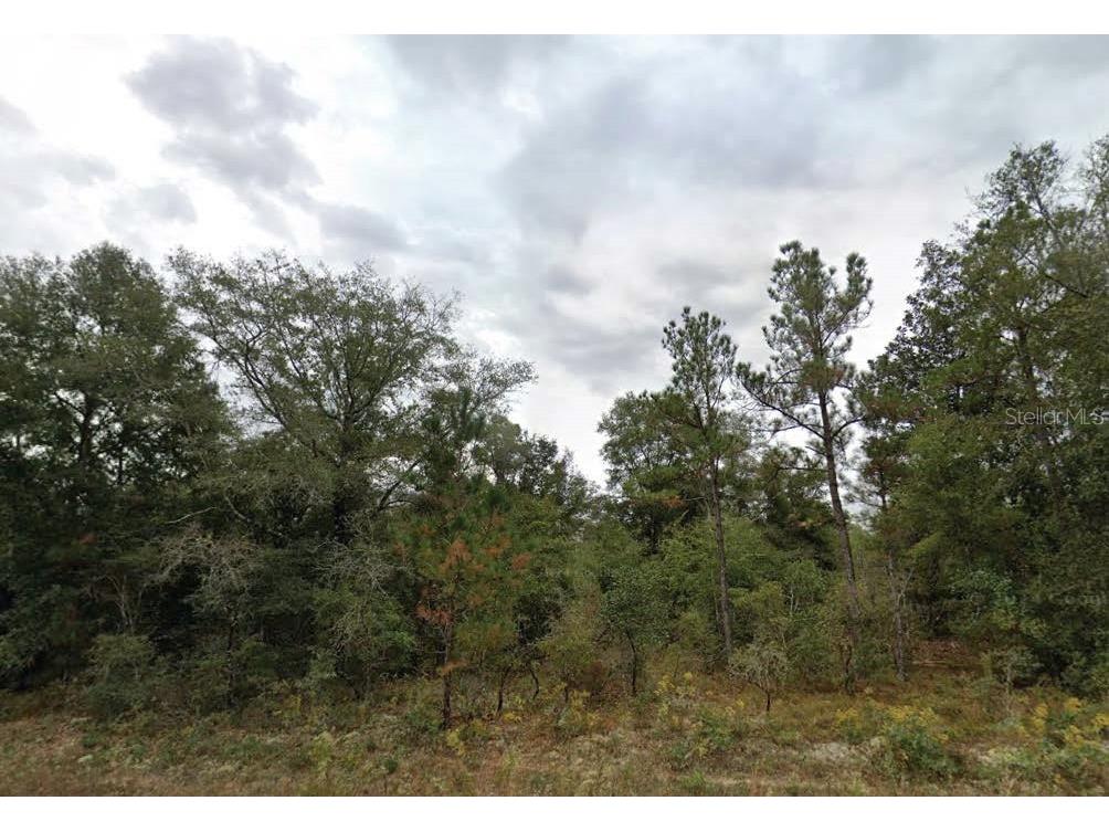 Matheson Street Chipley FL 32428 O6325972 image1