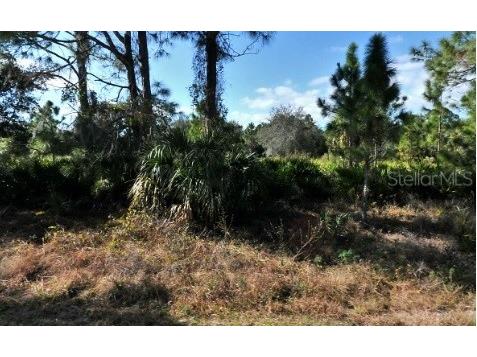 Mattox Circle North Port FL 34288 A4690775 image3