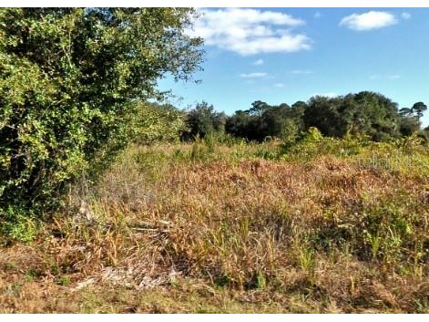 Mattox Circle North Port FL 34288 A4690781 image3