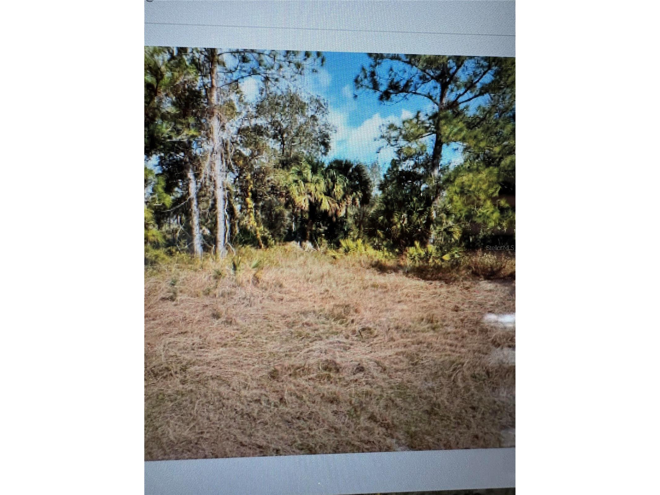 Mattox Circle North Port FL 34288 C7527815 image2