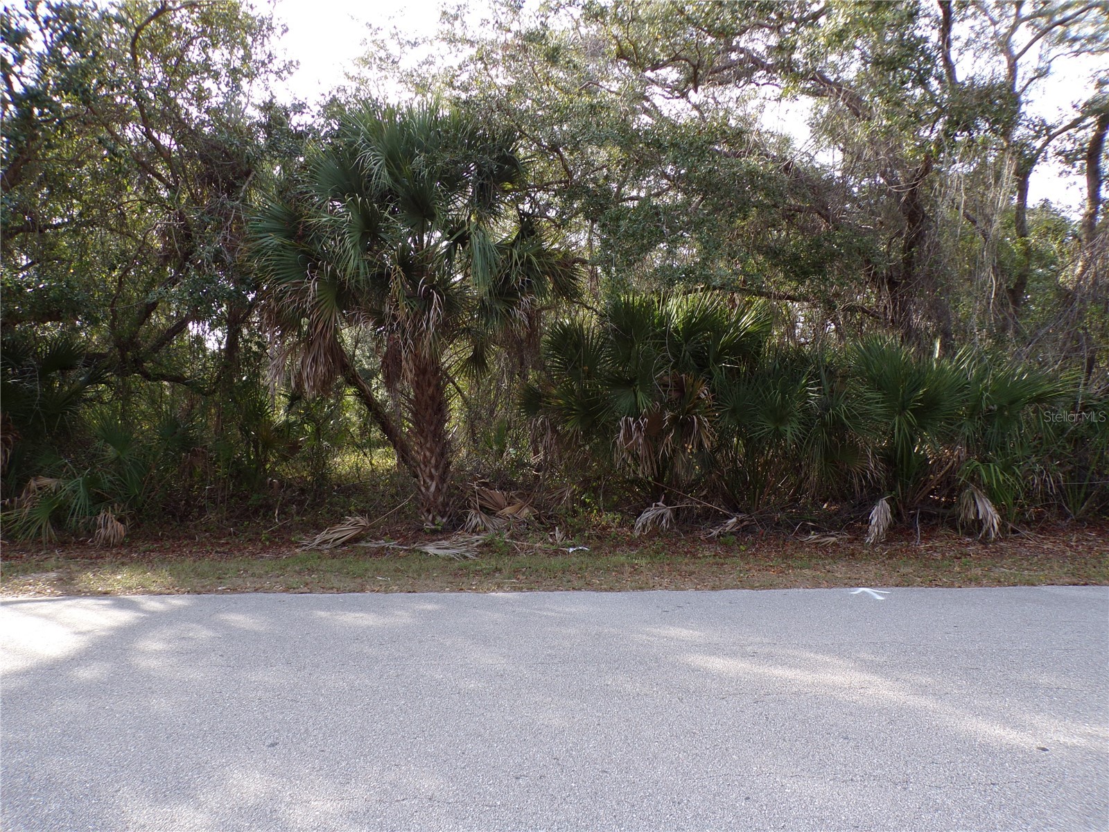 Maukbach Terrace North Port FL 34286 C7520382 image2