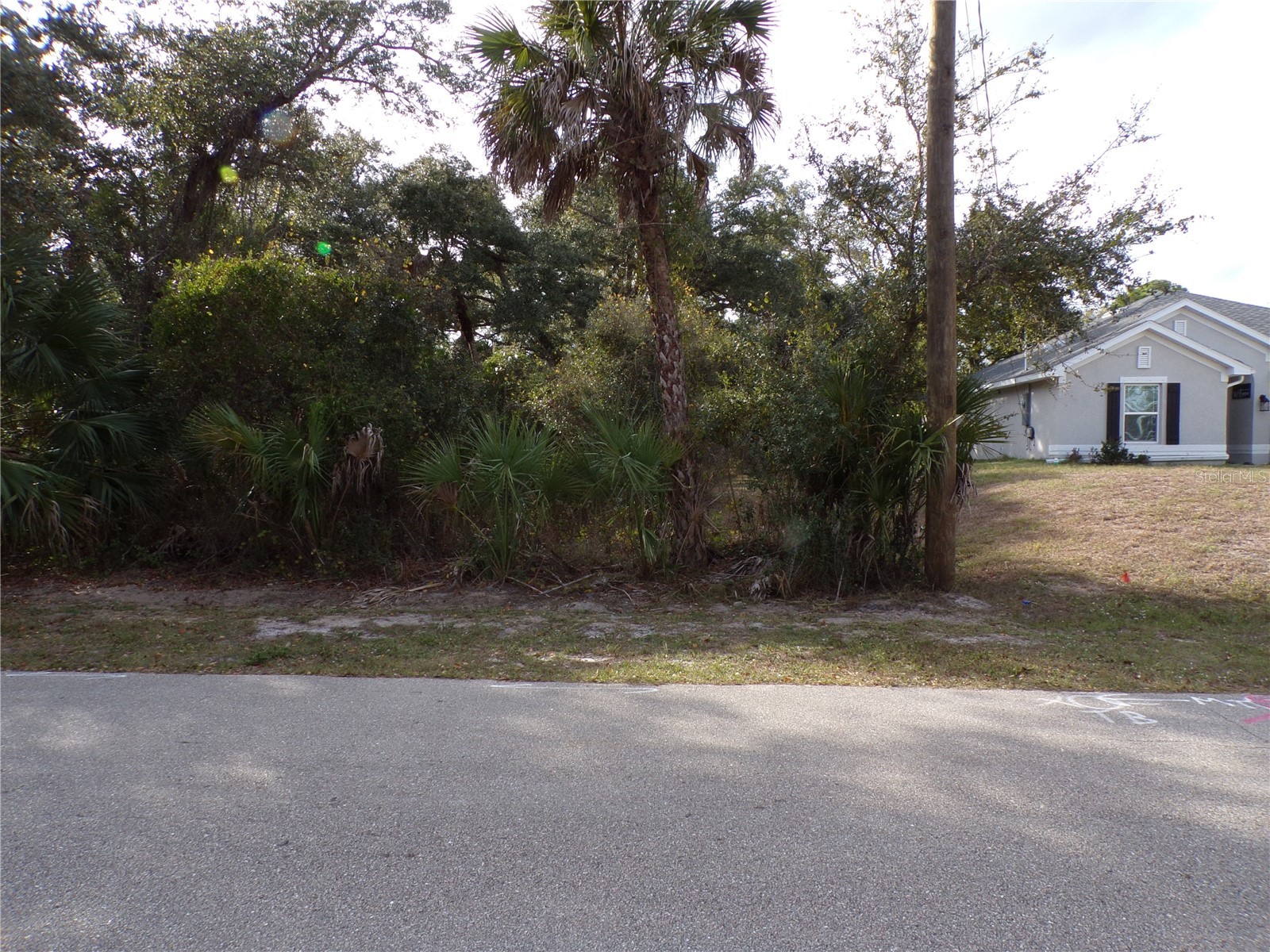 Maukbach Terrace North Port FL 34286 C7520382 image5