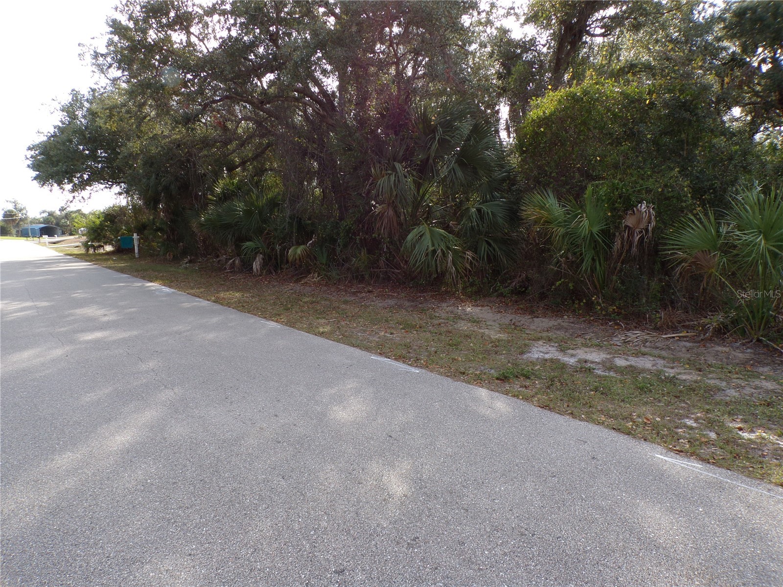 Maukbach Terrace North Port FL 34286 C7520382 image6