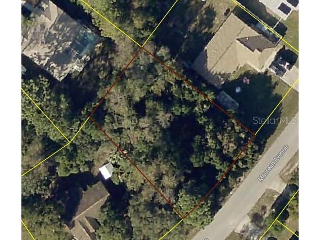 Maureen Avenue Spring Hill FL 34609 W7873529 image1