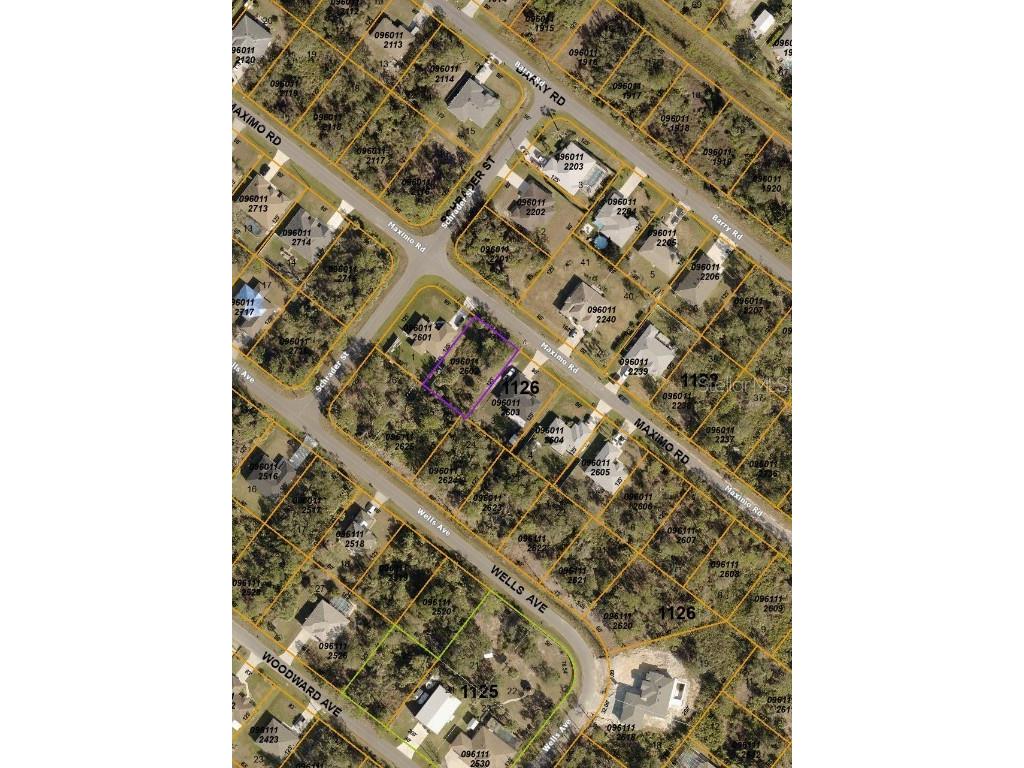 Maximo Lot #2 Road North Port FL 34286 C7480802 image1