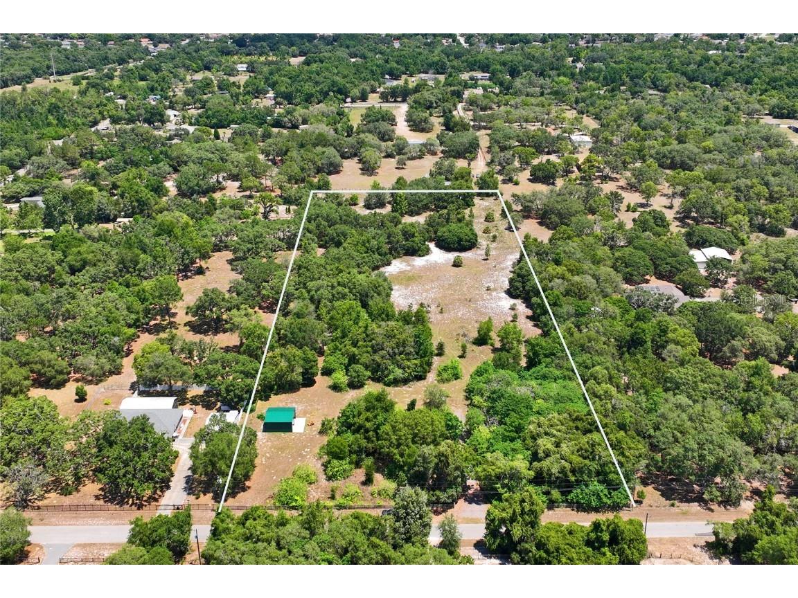 May Gold Lane Spring Hill FL 34608 T3533477 image1