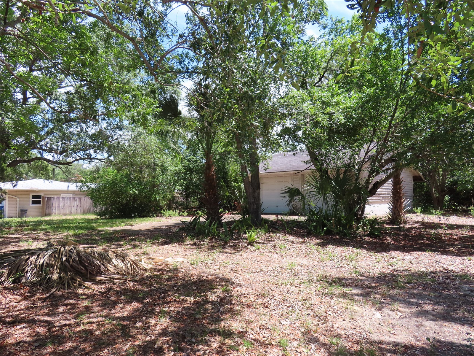 Mayo Crystal Beach FL 34681 TB8509351 image1