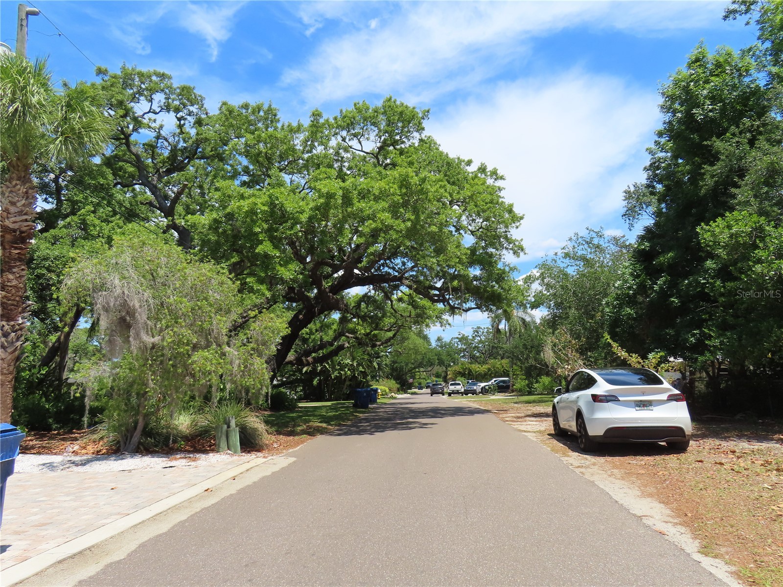 Mayo Crystal Beach FL 34681 TB8509351 image2