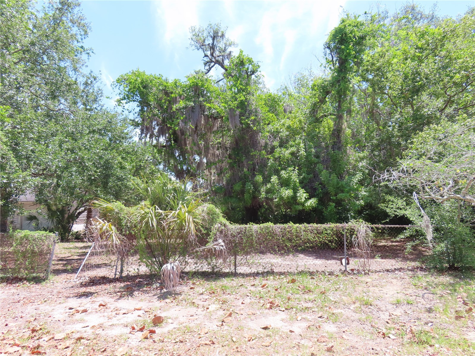 Mayo Crystal Beach FL 34681 TB8509351 image4