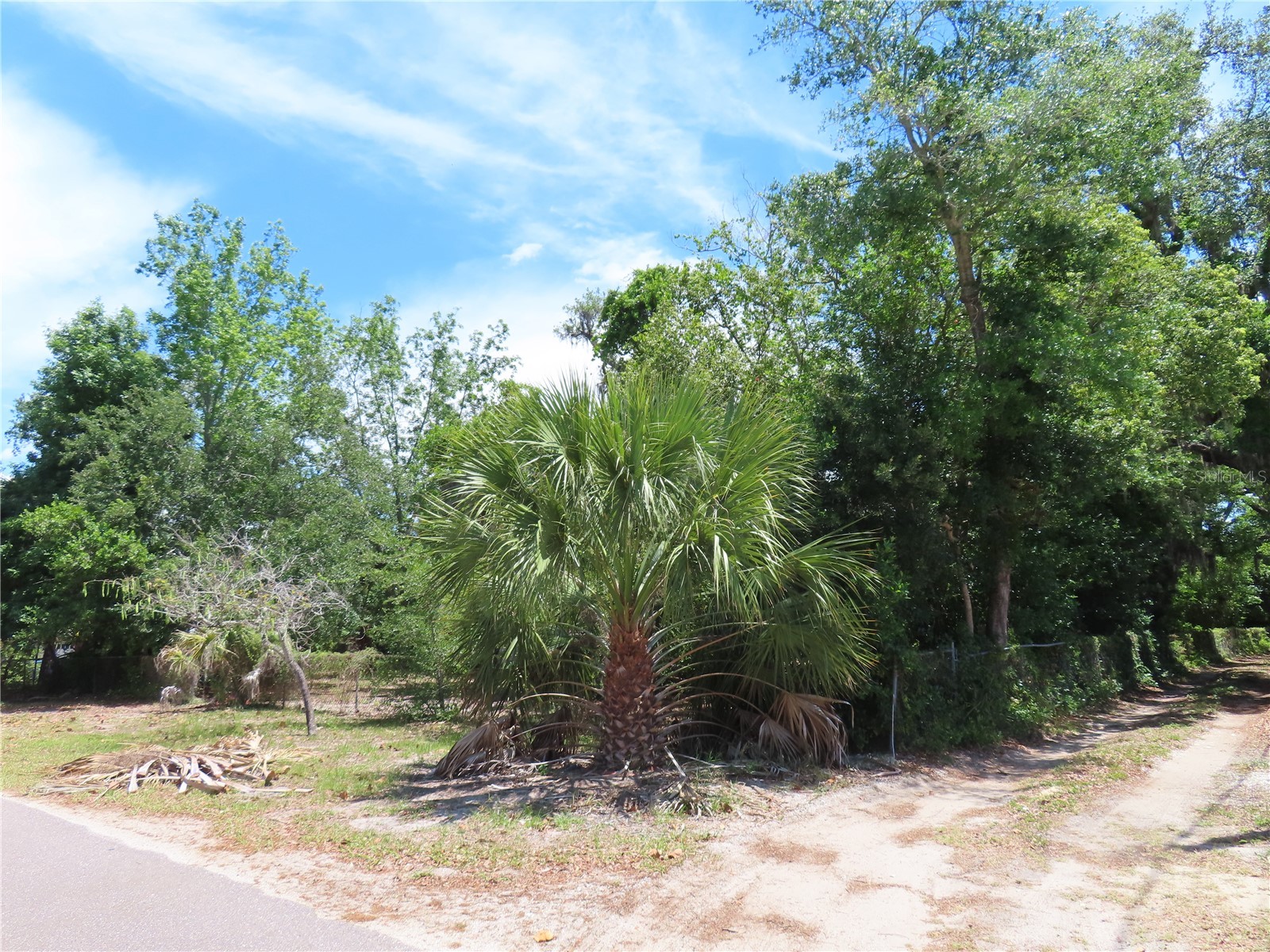 Mayo Crystal Beach FL 34681 TB8509351 image6
