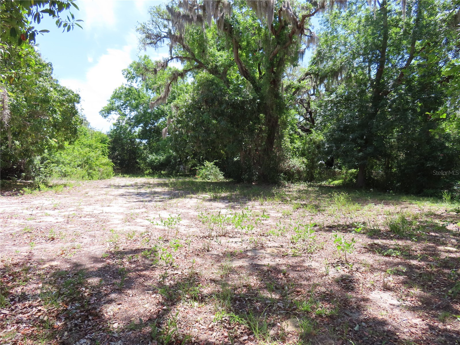 Mayo Crystal Beach FL 34681 TB8509351 image7