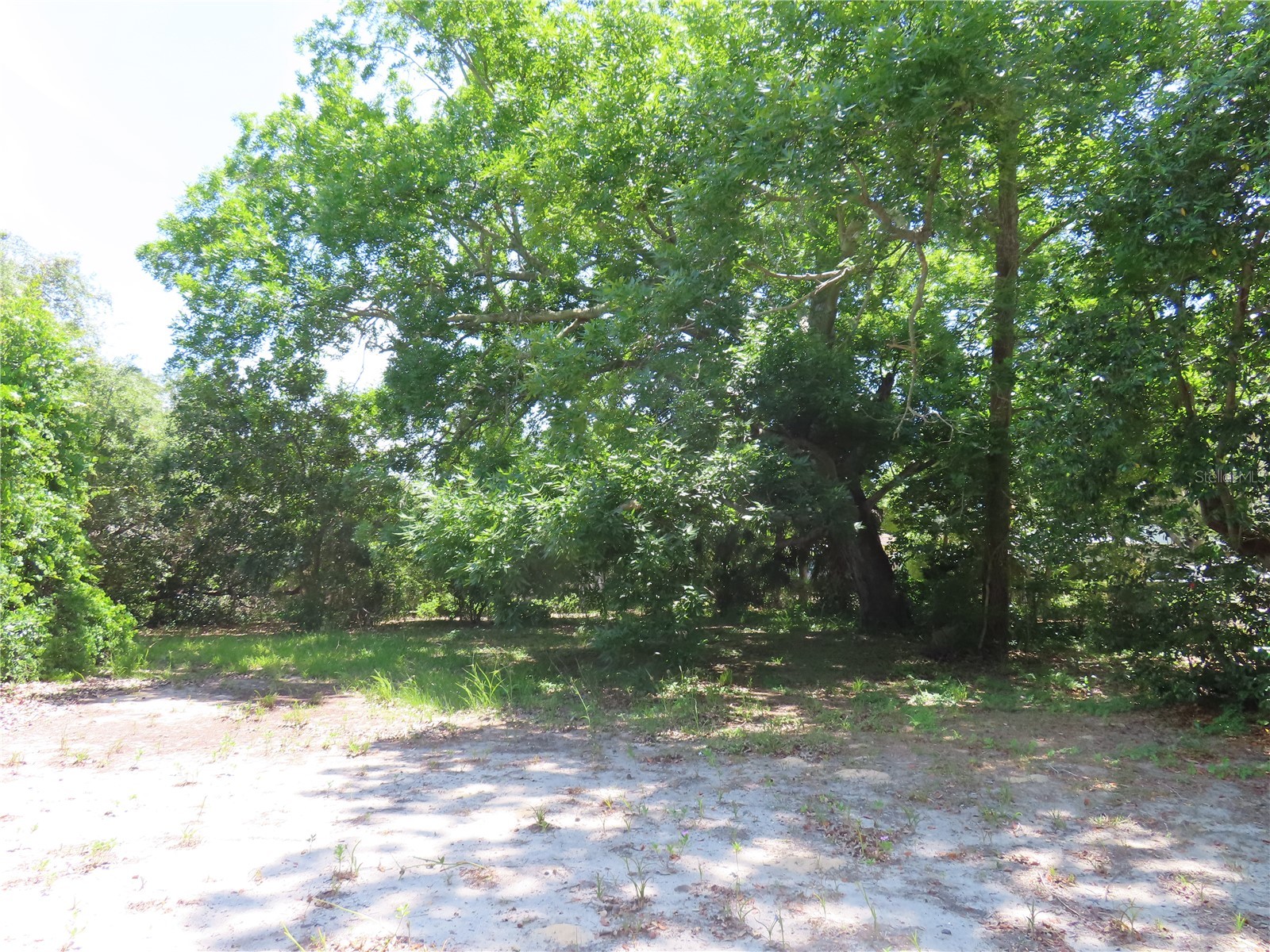 Mayo Crystal Beach FL 34681 TB8509351 image8