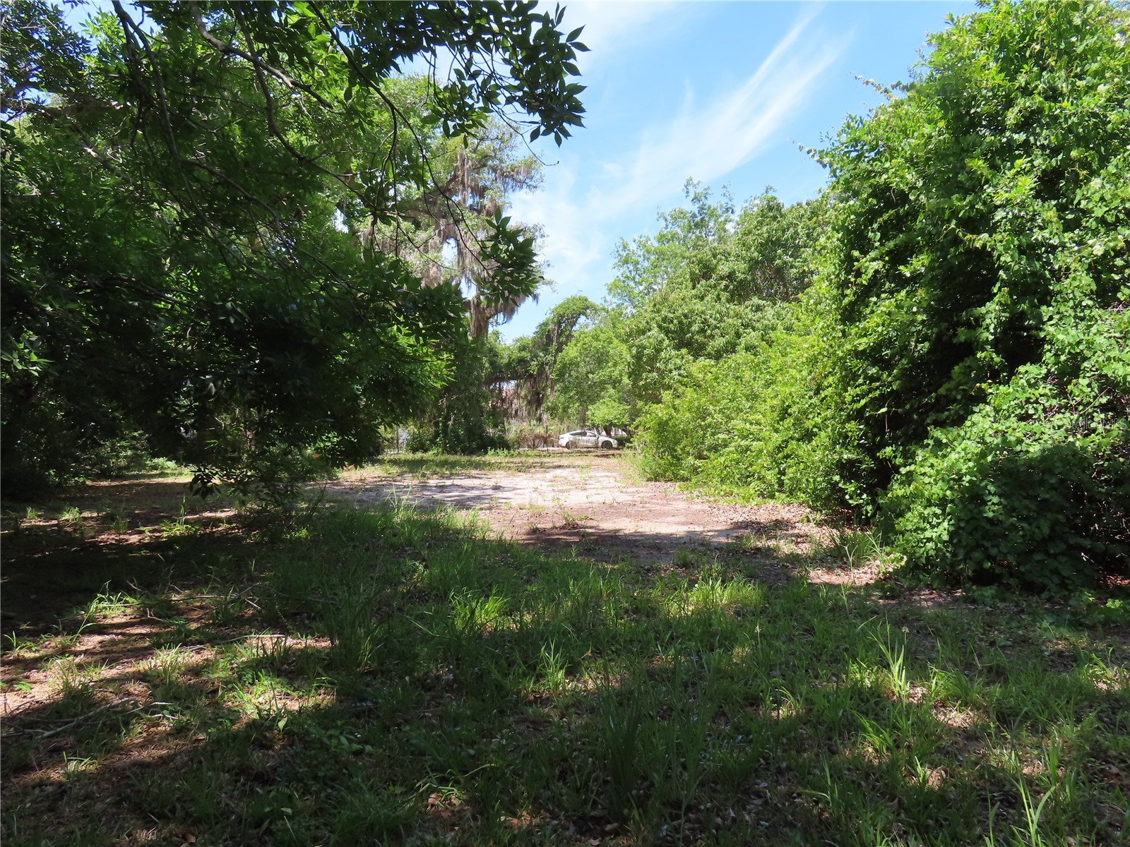 Mayo Crystal Beach FL 34681 TB8509351 image9