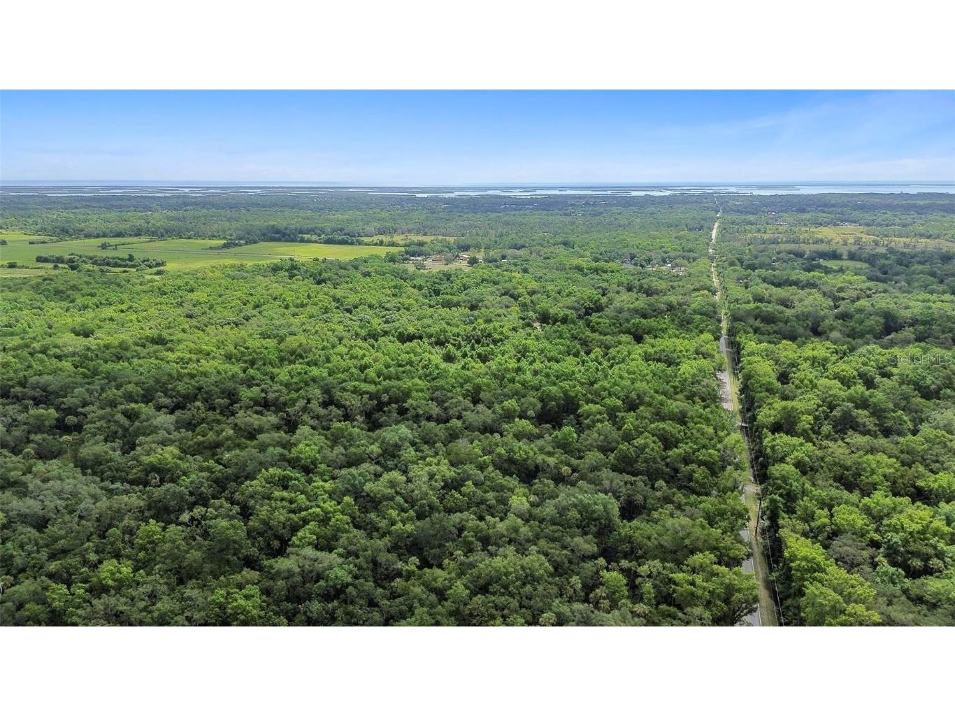 Maytown Rd Oak Hill FL 32759 V4936760 image3