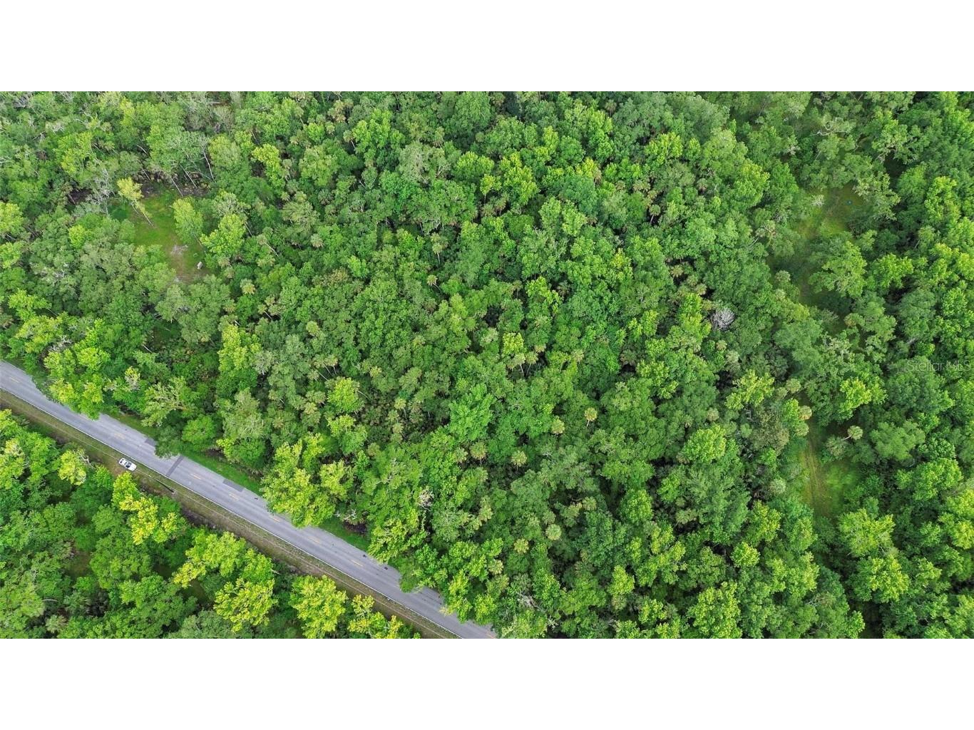 Maytown Rd Oak Hill FL 32759 V4936760 image4