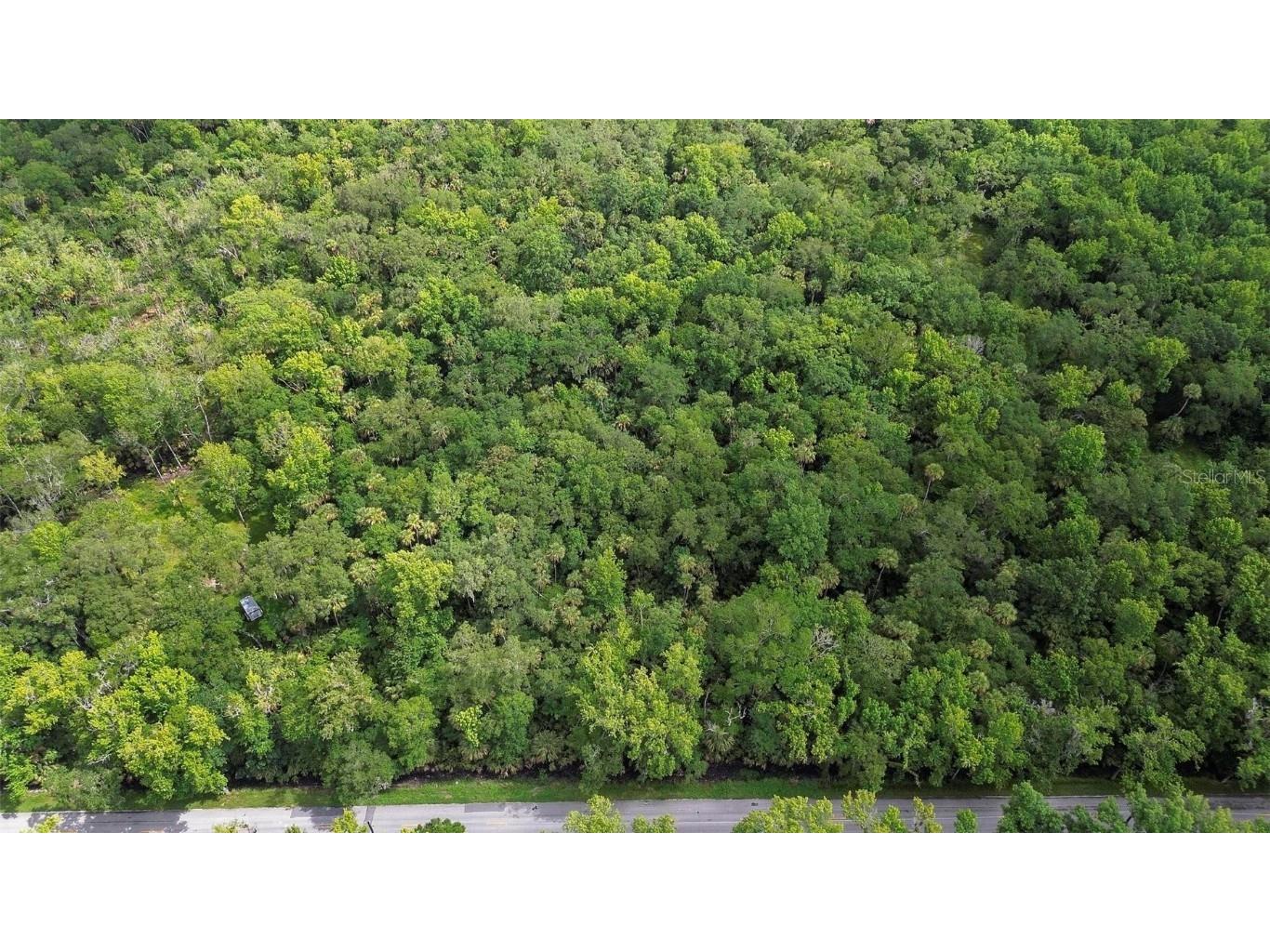 Maytown Rd Oak Hill FL 32759 V4936760 image5