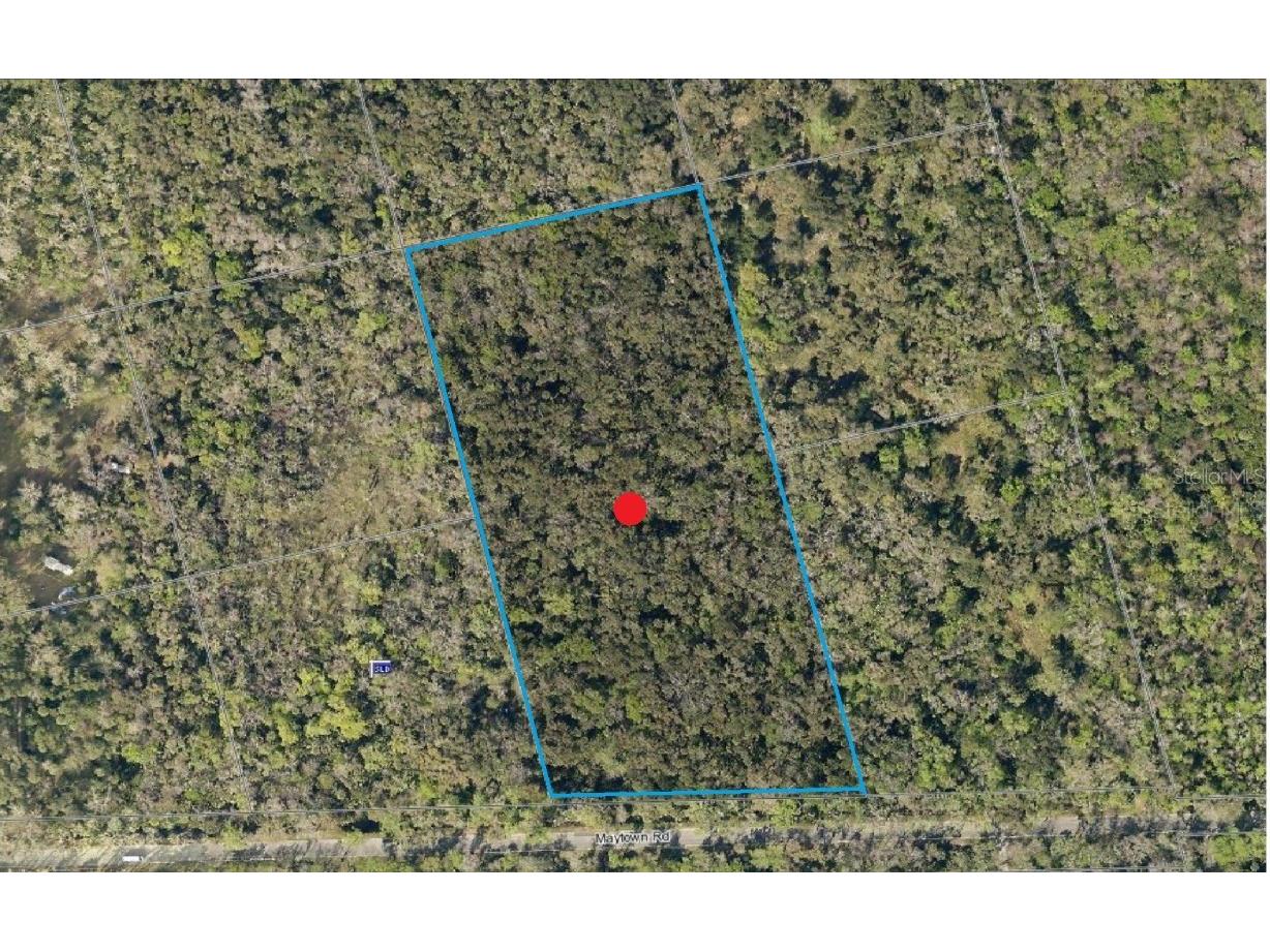 Maytown Rd Oak Hill FL 32759 V4936760 image6