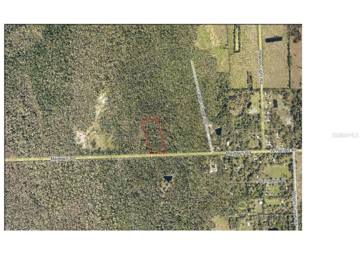 Maytown Rd Oak Hill FL 32759 V4936760 image7