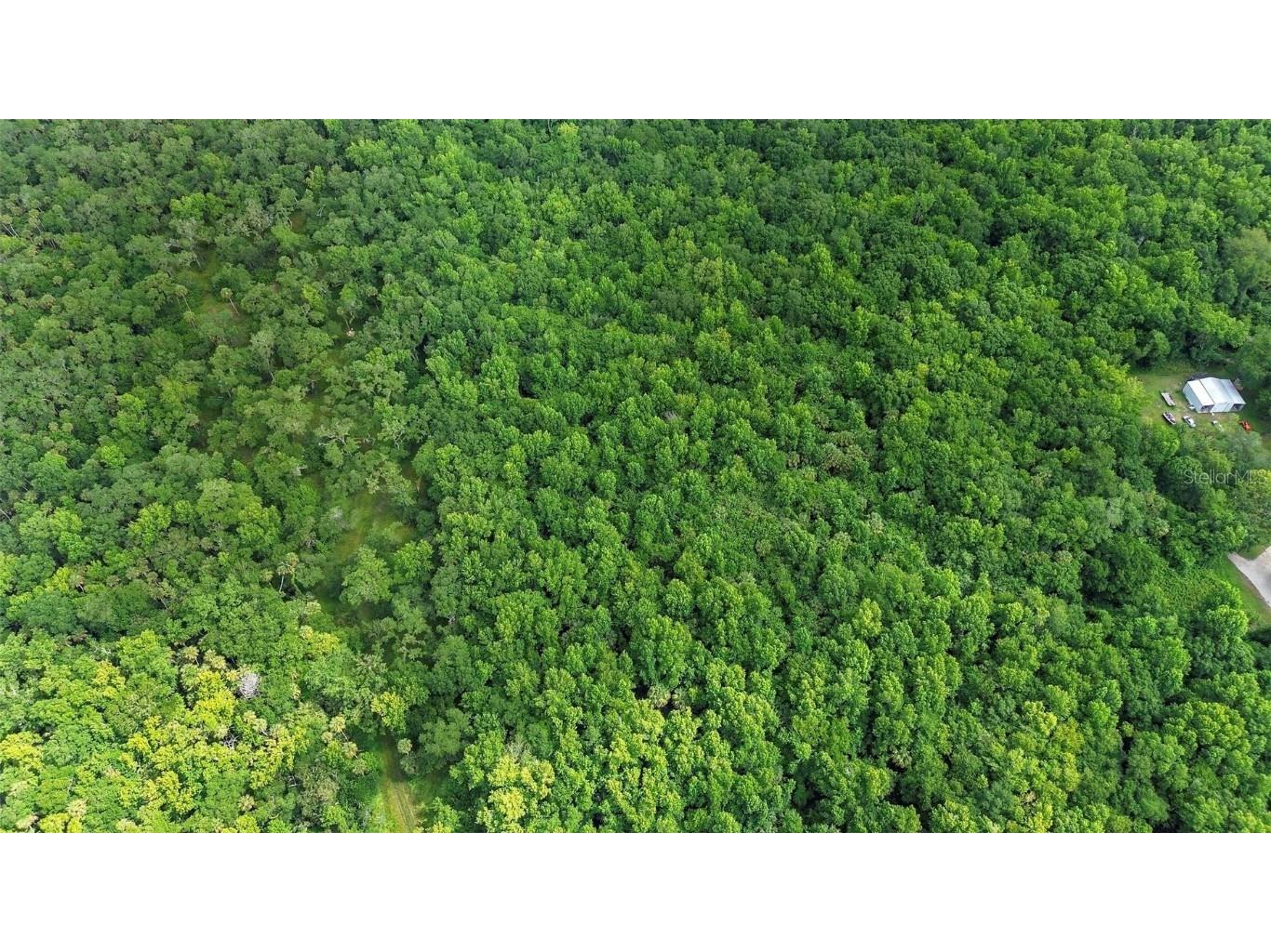 Maytown Rd Oak Hill FL 32759 V4936760 image8